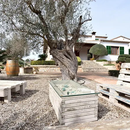Sa Tanca Gran Villa *